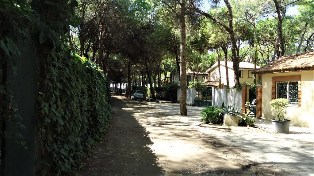 In Golem (Tirana)