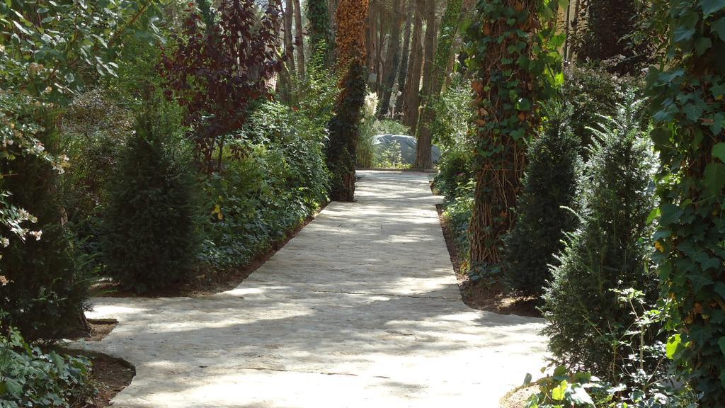 In Golem (Tirana)